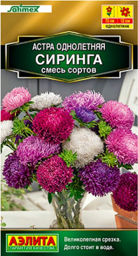 Астра Сиринга Аэлита