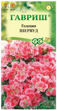 Годеция Шервуд Махровая Гавриш