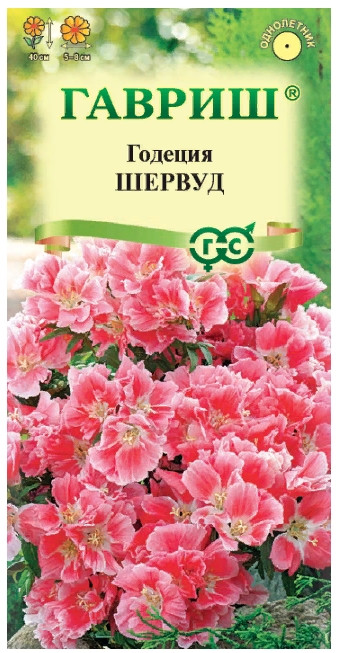 Годеция Шервуд Махровая Гавриш