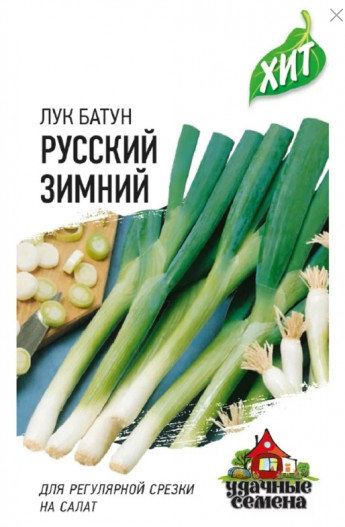 Лук батун Русский Зимний