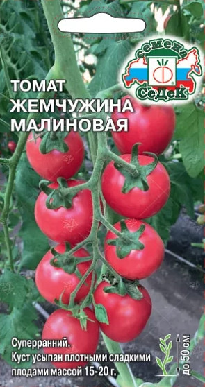 Томат Жемчужина Малиновая СеДеК