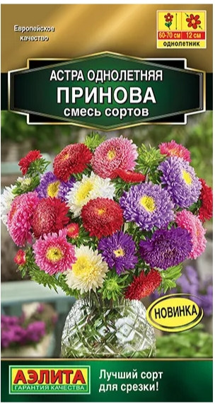 Астра Принова смесь сортов