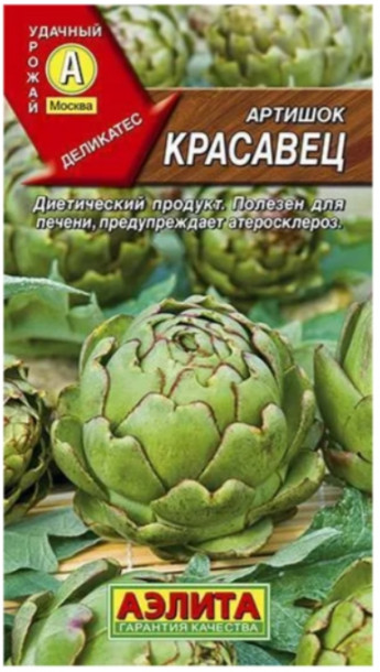 Артишок Красавец