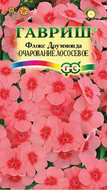 Флокс друммонда Очарование ЛОСОСЕВО