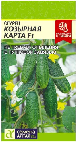 Огурец Козырная Карта F1 Сем.Алтая