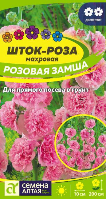 Шток-роза Розовая Замша Сем.Алтая