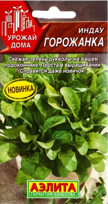 Руккола (индау)Горожанка комнат.Аэл