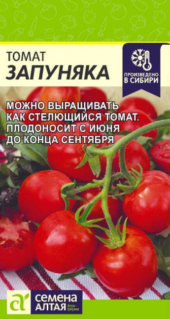 Томат Запуняка Сем.Алтая