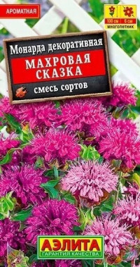 Монарда Махровая Сказка Аэлита