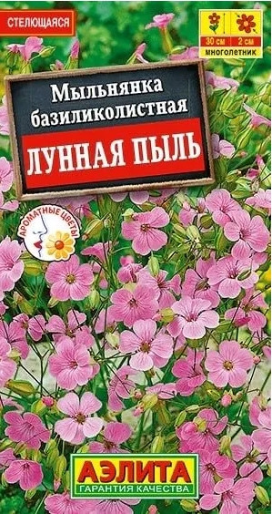 Мыльнянка Лунная Пыль Аэлита