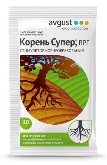 Корень супер 10г август