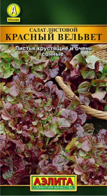 Салат Красный Вельвет листовой Аэли