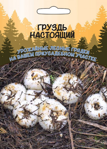 Гриб Груздь Настоящий Ур.Дачник