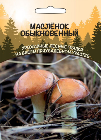 Гриб Масленок Обыкновенный Ур.Дачни