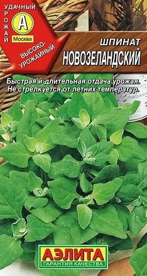 Шпинат Новозеландский Аэлита
